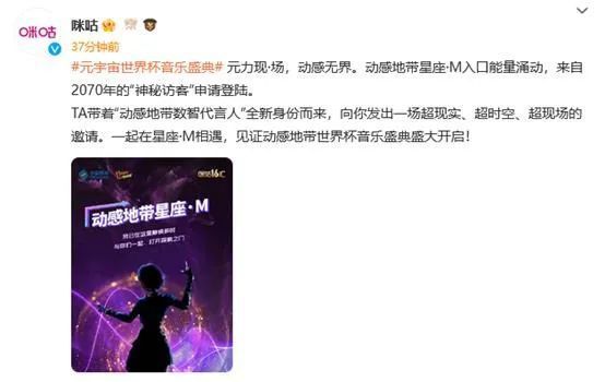 影片的主人公是一位爱沙尼亚的击剑活动员。他为了回避俄罗斯奥秘差人的追捕，回到了故乡爱沙尼亚。在那儿他成了一位黉舍里的击剑教员。但是曩昔的暗影却不愿放过他，终究让他面对艰巨的决定。